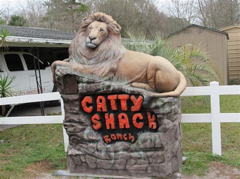 Catty shack in jacksonville - Specialties: Catty Shack Ranch Wildlife Sanctuary is a 501(c)(3) non-profit organization. "Our mission is to provide a safe, loving, forever home for endangered big cats, and to educate the public about their plight in the wild and captivity". Once an animal is taken in at Catty Shack Ranch, they have a loving, forever home for life. We do not breed, sell, or trade any of our animals. Our ... 